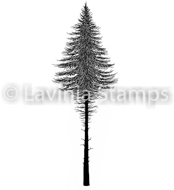 Lavinia Stamp, Fairy Fir Tree 2