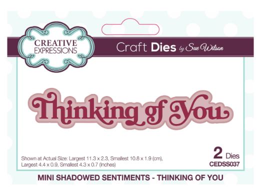 Creative Expressions Die, Sue Wilson Mini Shadowed Sentiments - Thinking Of You