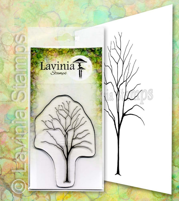 Lavinia Stamp, Elm