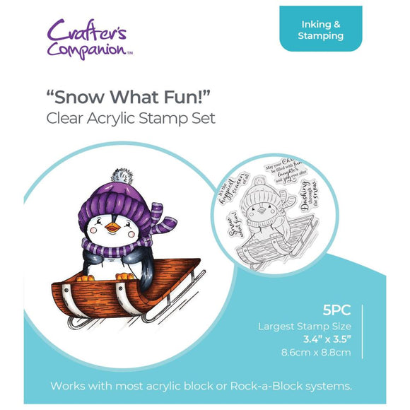 Crafters Companion Stamp, Snow What Fun!