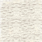 49 And Market Paper, Whispering Way - Collection Pack 12"X12"