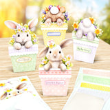 Katy Sue Paper, Bunny Tails & Flower Pots, Card Making Kit