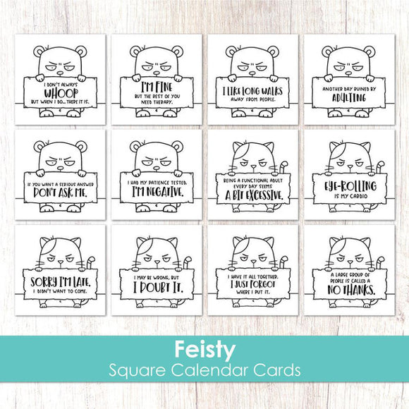 Taylored Expressions Square Calendar Cards - Feisty