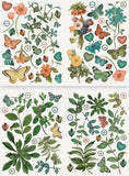 Arden Creative Studio Paper, Home & Garden Foliage Laser Cuts