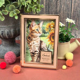 Hunkydory Paper, Pocket Pad Box Frames