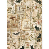 Ciao Bella Paper - Rice Paper A5 MIXED 8/Pkg The Witch's Grimoire