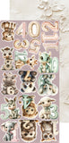 Craft O'Clock Embellishment, Extras Set, Baby Girl Universe - Mix