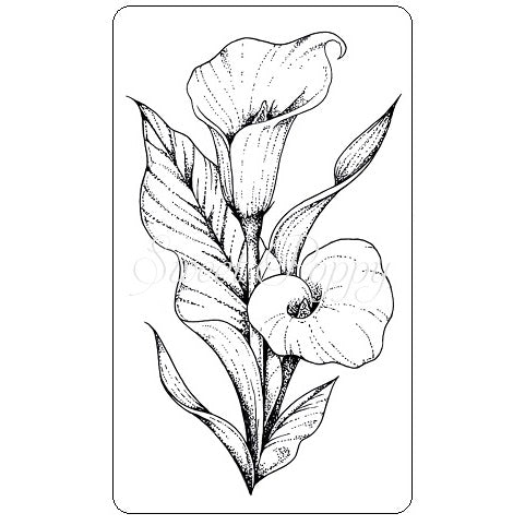 Sweet Poppy Stamp, Calla Lily ***New***