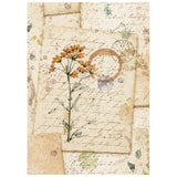 Stamperia Paper, Printed Rice Paper - Flowers And Poems