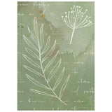 Stamperia Paper, Printed Rice Paper - Flowers And Poems