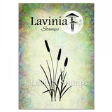 Lavinia Stamp, Bullrushes