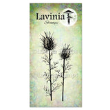 Lavinia Stamp, Nigella Damascena