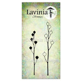 Lavinia Stamp, Seed Heads