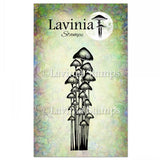 Lavinia Stamp, Moss Cap Cluster