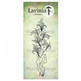 Lavinia Stamp, Twilight Lily