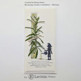 Lavinia Stamp, Herbalum Bob Stamp