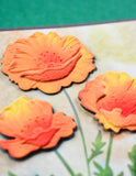 Memory Box Stamp and Die Set - Playful Poppies
