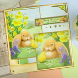 Hunkydory Paper, The Little Book Of Spring Is In The Air