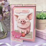 Hunkydory Paper, The Little Book of Quirky Animals