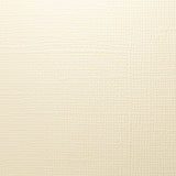 Prism Studio Paper 12X12, "Canvas" Series Textured Cardstock - Multiple Colors Available