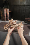 ROKR 3D Wooden Puzzle,