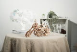 ROKR 3D Wooden Puzzle,