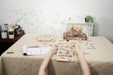 ROKR 3D Wooden Puzzle,
