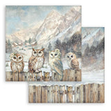 Stamperia Paper, 12X12 Paper Pad, 10 Sheets  - The Owl's House