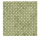 Simply Stated Designs Paper, Floral Academia Solid Papers - Various Patterns