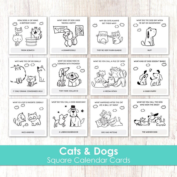 Taylored Expressions Square Calendar Cards, Cats & Dogs