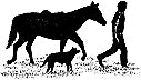Stampscapes Stamp, Horse, Dog, Man sm