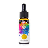 Preorder - BUNDLE DEAL Cosmic Shimmer Water-Based Ink 30ml