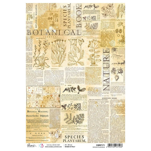 Ciao Bella Rice Paper A4, Species Plantarum