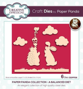 Creative Expressions Die, Paper Panda Collection - A Balanced Diet