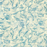 Graphic 45 Paper 12x12, Bird Watcher - Flock Together