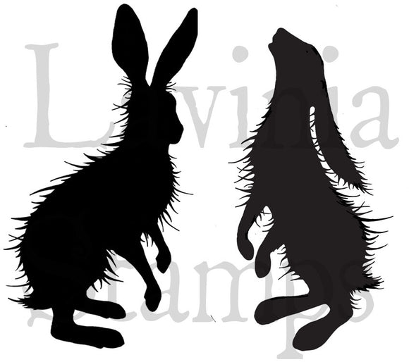 Lavinia Stamp, Woodland Hares