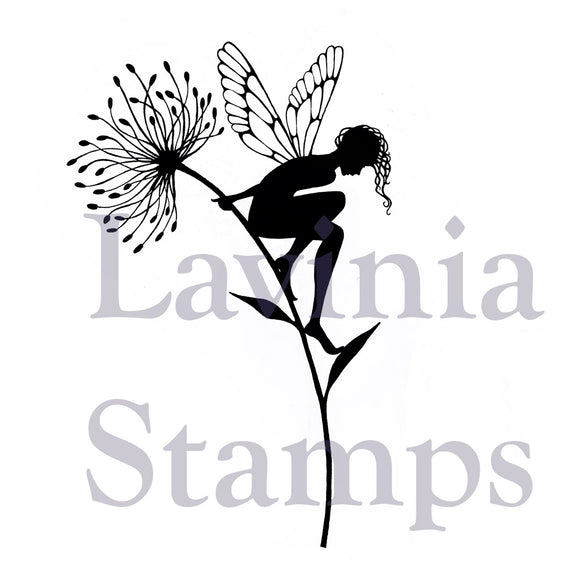Lavinia Stamp, Seeing is Believing