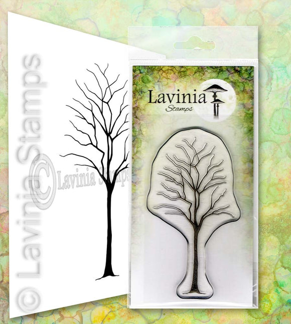 Lavinia Stamp, Birch