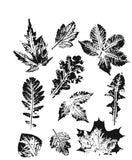 Stampers Anonymous Stamp, Leaf Prints 2