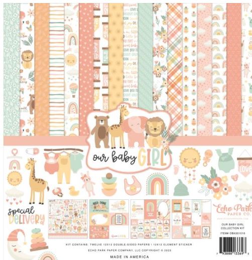Echo Park Paper Collection Pack 12x12, Our Baby - Girl