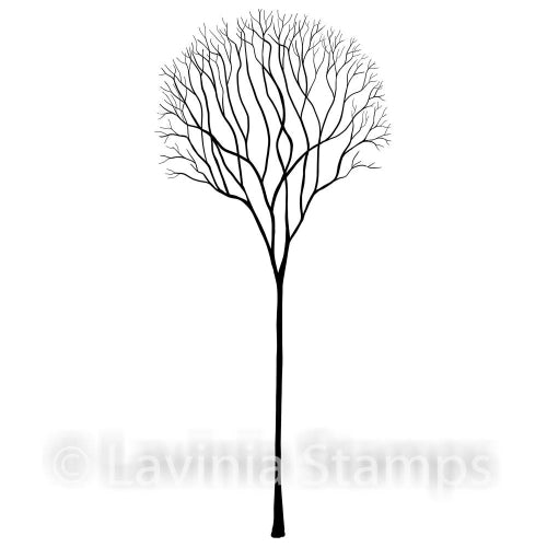 Lavinia Stamp, Skeleton Tree